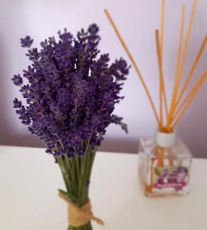 Privatunterkunft Goscinne U Ani - *