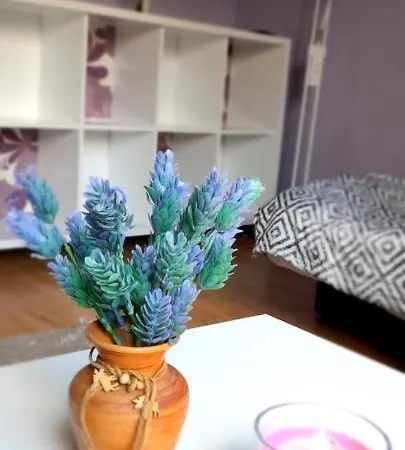 בית אירוח Goscinne U Ani - *