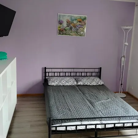 בית אירוח Goscinne U Ani - *