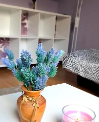 منزل للإقامة Goscinne U Ani - *