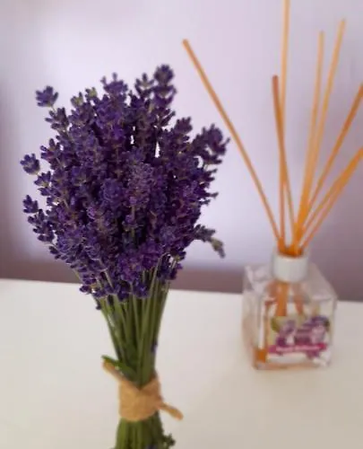 منزل للإقامة Goscinne U Ani - *