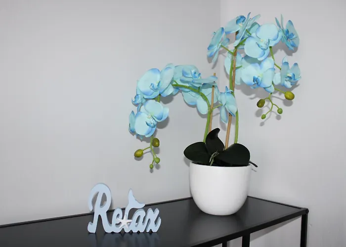 Goscinne U Ani - 科沃布热格