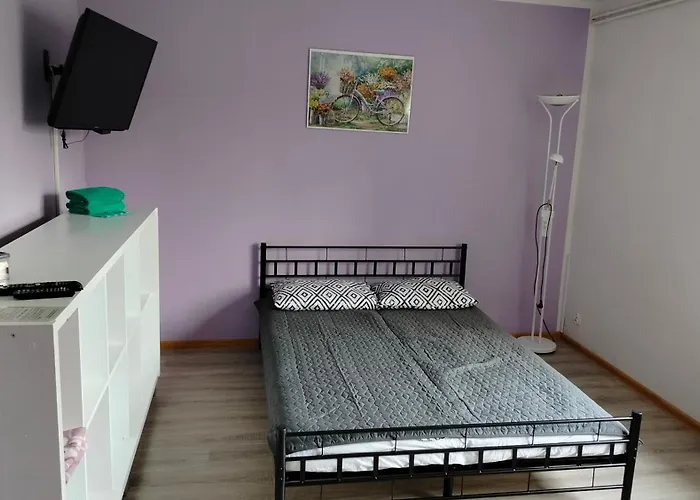 منزل للإقامة Goscinne U Ani - *